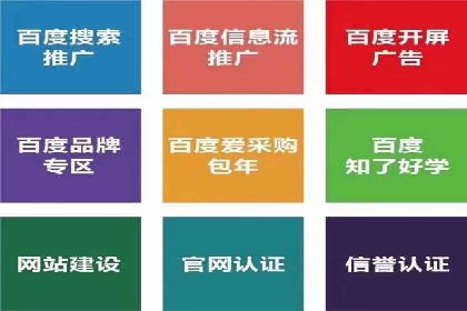 社交平台信息流广告推广的典型案例分析